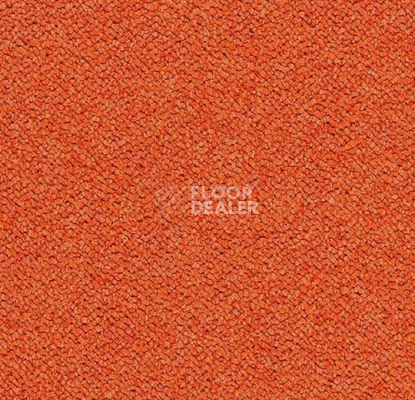 Ковровая плитка Forbo Tessera Chroma 3625 Calypso фото 1 | FLOORDEALER